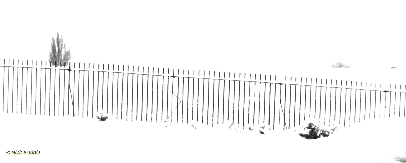 The Fence